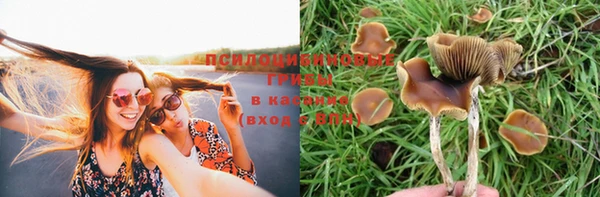 прущая мука Абаза